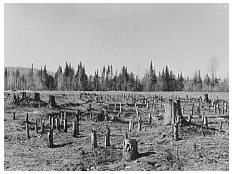 Stump Prairie Land Preparation Nelma Wisconsin 1937