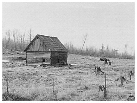 Abandoned Farm Scene in Nelma Wisconsin 1937