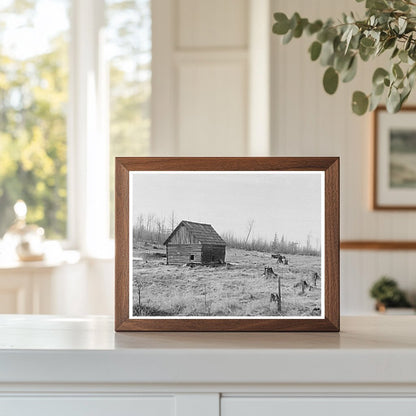 Abandoned Farm Scene in Nelma Wisconsin 1937