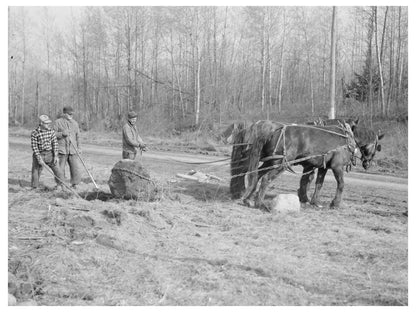 Laborers Clearing Stones in Tipler Wisconsin April 1937