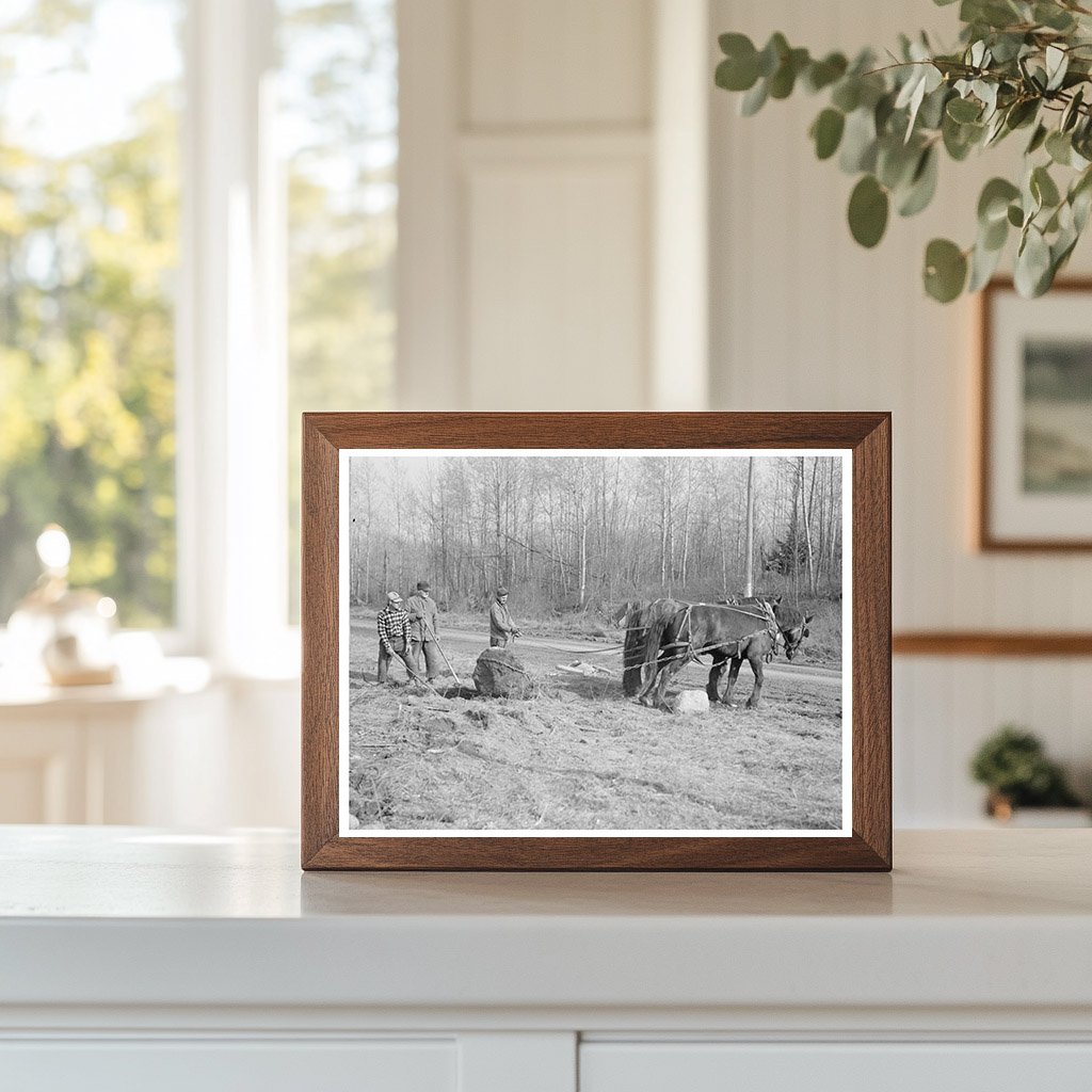 Laborers Clearing Stones in Tipler Wisconsin April 1937