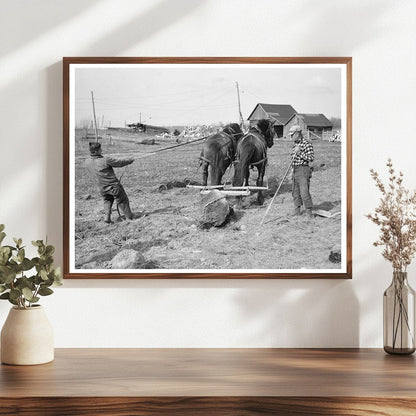 Pulling Stones from Cut-Over Land in Forest County 1937