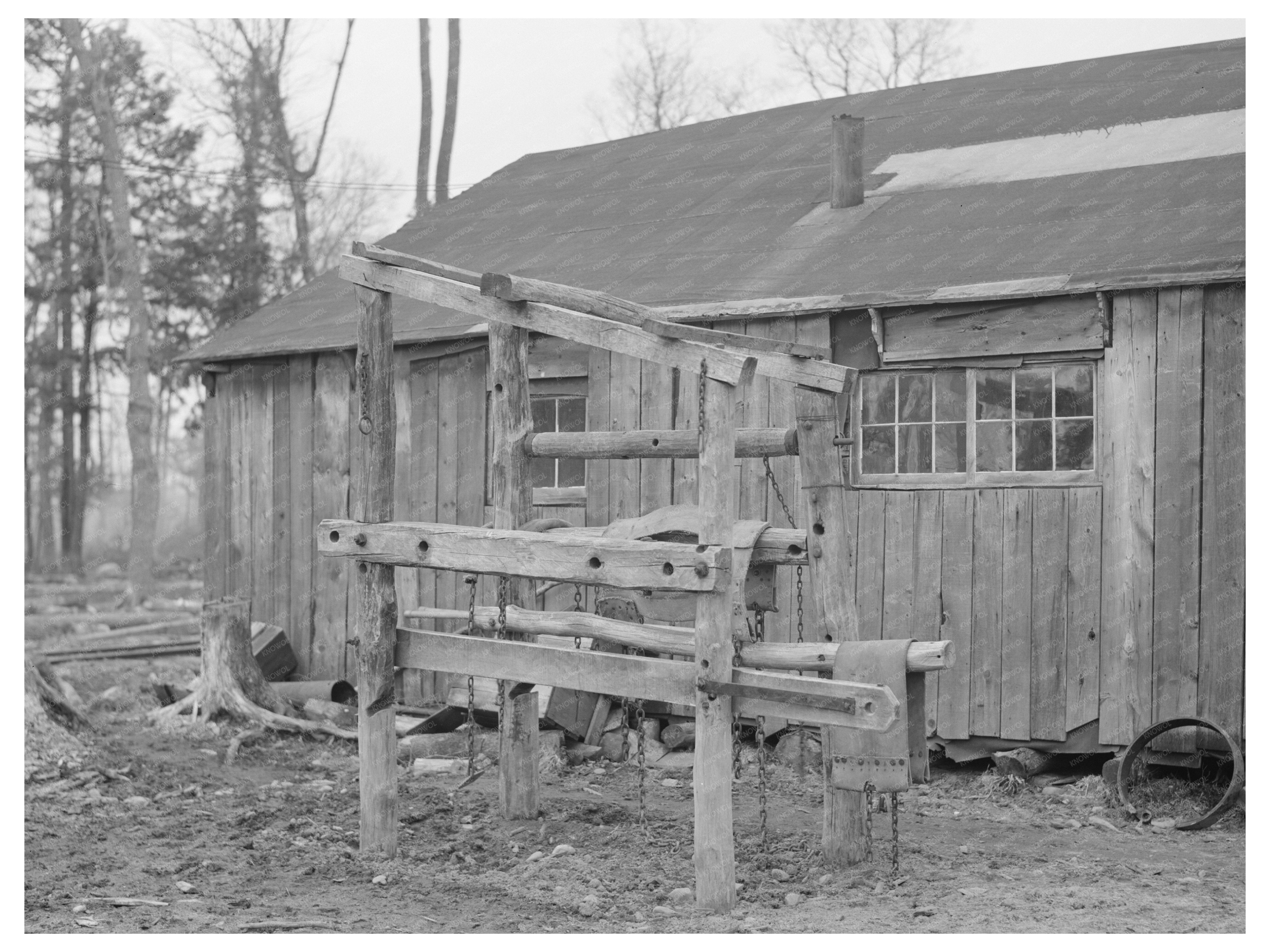 Horse Strapping Stand at Forest County Lumber Camp 1937