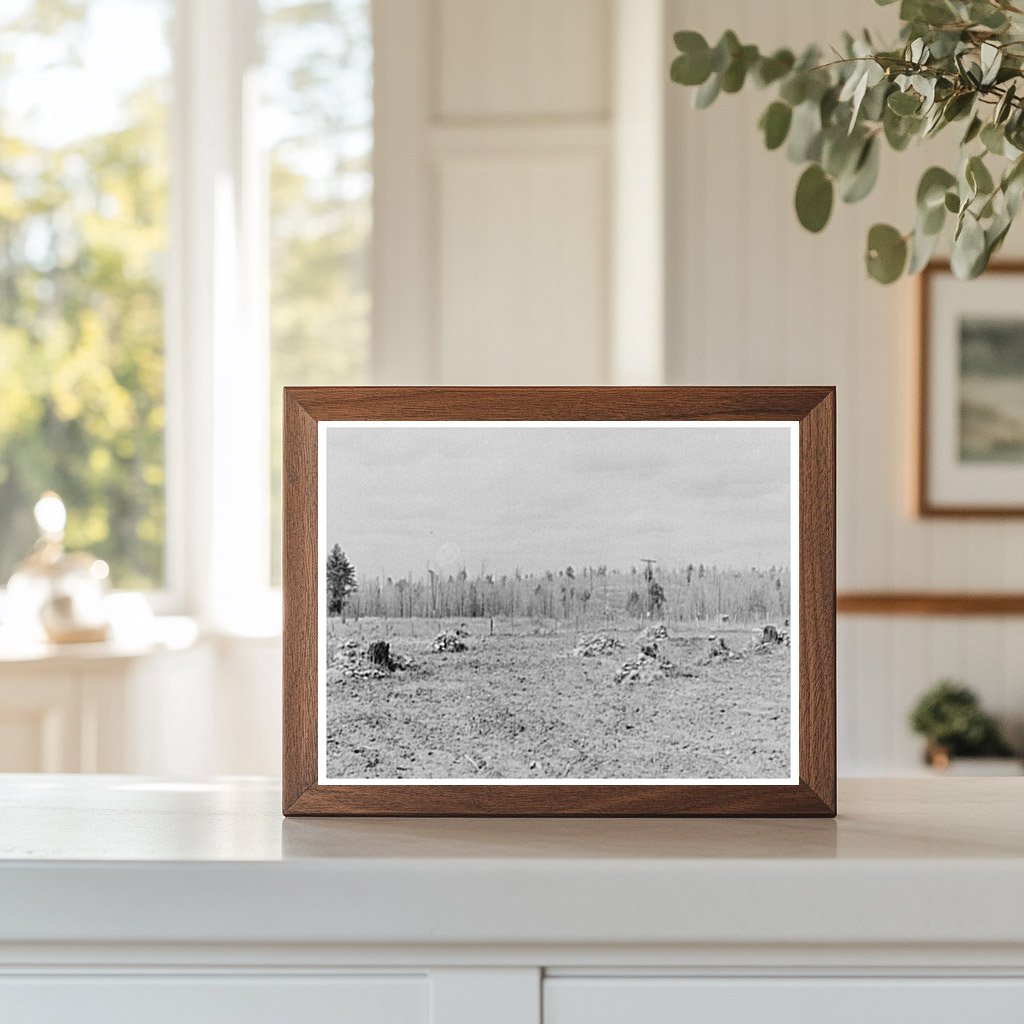 Rock Clearing for Agricultural Land in Iron County Michigan 1937