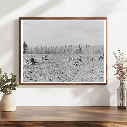 Rock Clearing for Agricultural Land in Iron County Michigan 1937