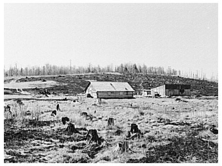 Iron County Michigan Farm Burned Grass May 1937