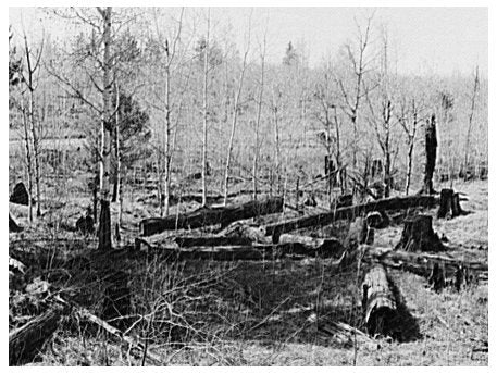 Wisconsin Logging Waste in May 1937