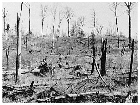 Forest County Wisconsin Land Use Changes May 1937