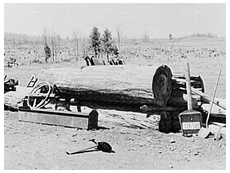 White Pine Logs in Swamp Wisconsin May 1937