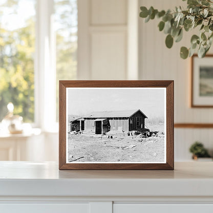 Tarpaper Shack in Tipler Wisconsin 1937 Housing Conditions