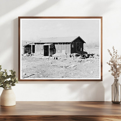 Tarpaper Shack in Tipler Wisconsin 1937 Housing Conditions