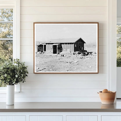 Tarpaper Shack in Tipler Wisconsin 1937 Housing Conditions