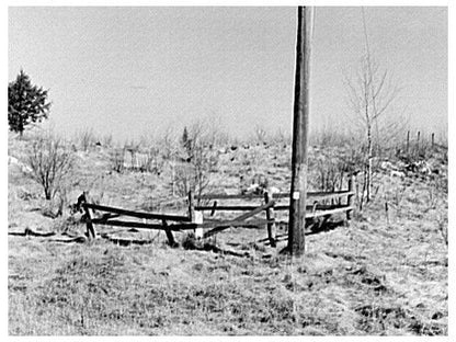 One-Grave Cemetery in Cut-Over Lands Tipler Wisconsin 1937