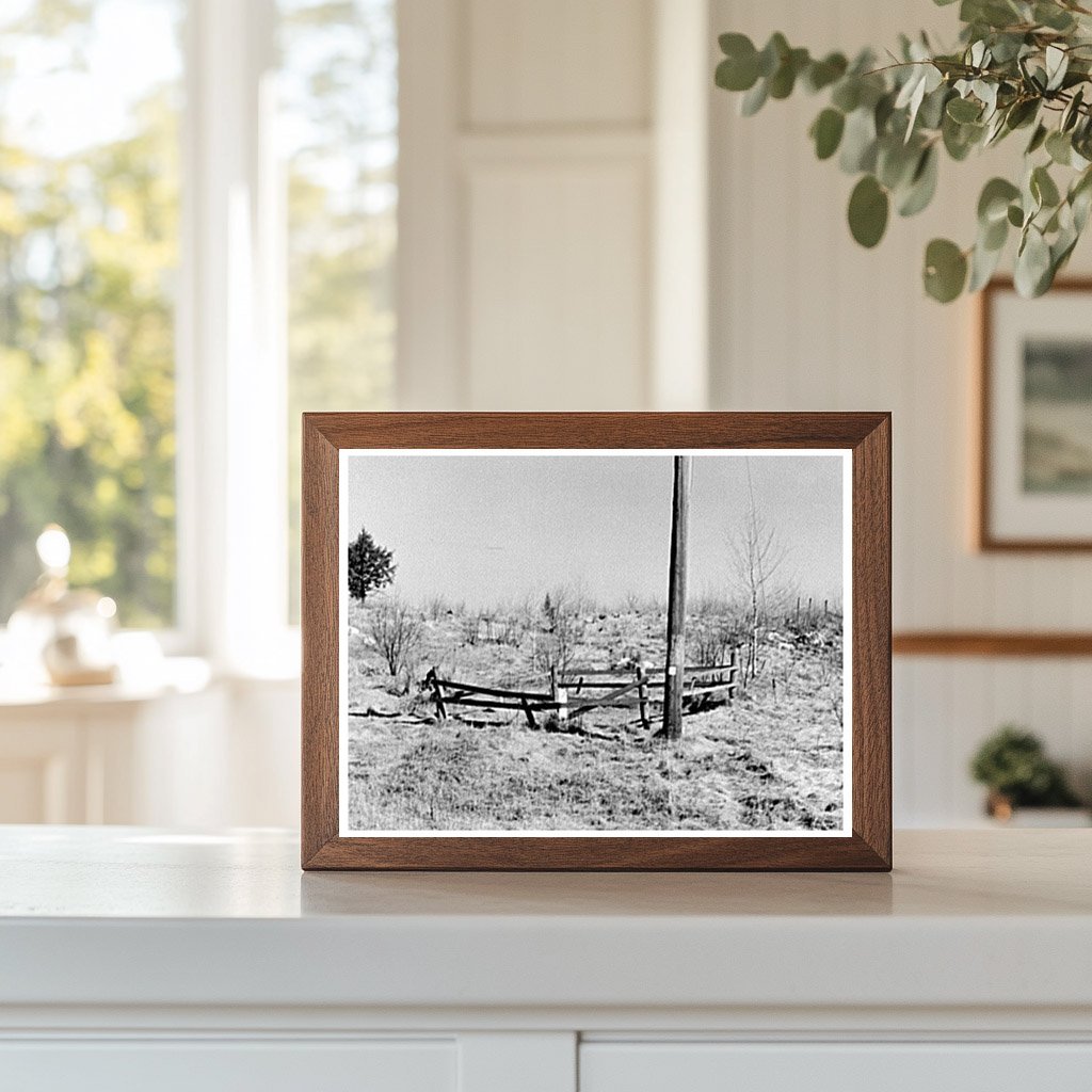 One-Grave Cemetery in Cut-Over Lands Tipler Wisconsin 1937