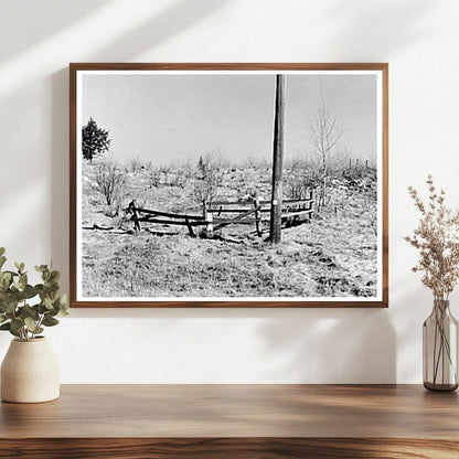 One-Grave Cemetery in Cut-Over Lands Tipler Wisconsin 1937