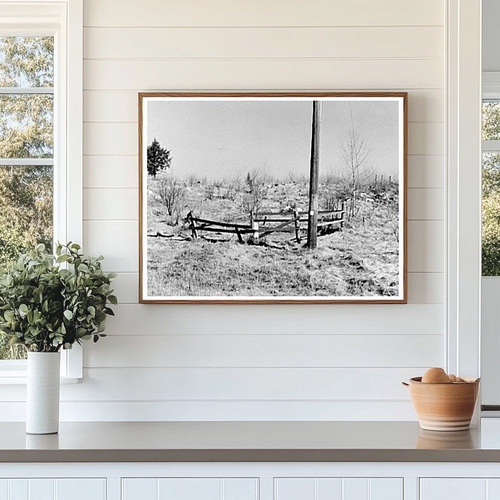 One-Grave Cemetery in Cut-Over Lands Tipler Wisconsin 1937