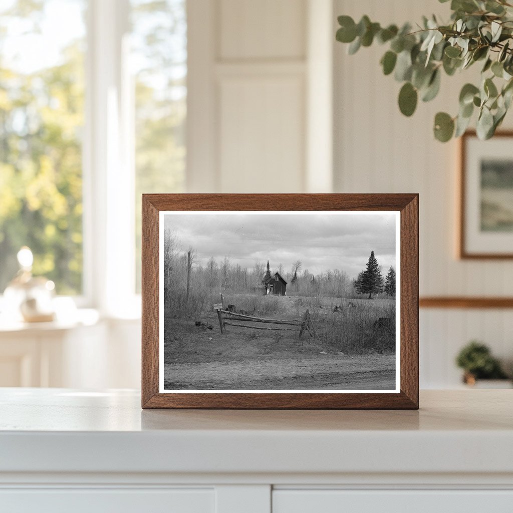 Abandoned Farm Landscape Tipler Long Lake Wisconsin 1937