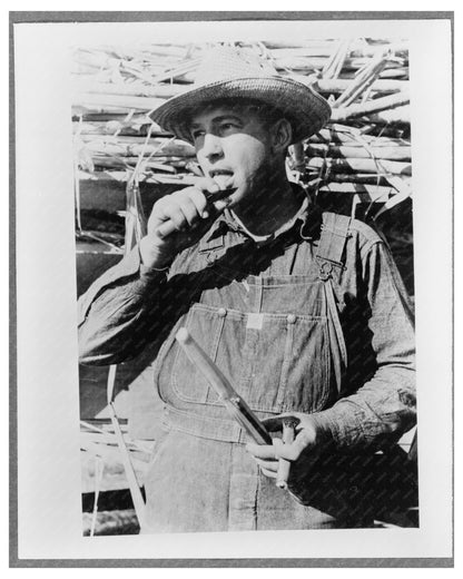 Sugarcane Worker in Louisiana October 1938 Vintage Photo