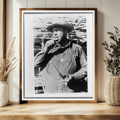 Sugarcane Worker in Louisiana October 1938 Vintage Photo