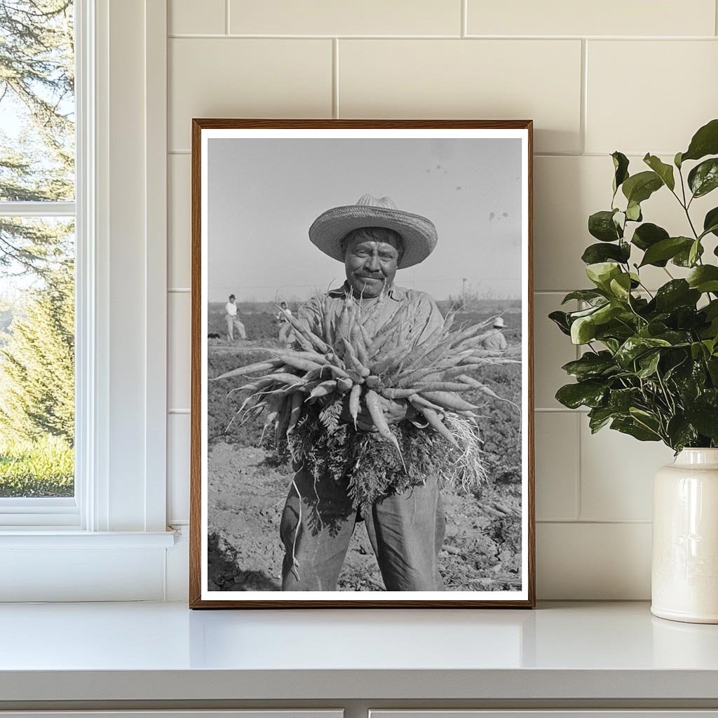 Mexican Carrot Worker in Edinburg Texas February 1939