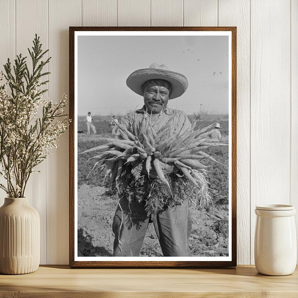 Mexican Carrot Worker in Edinburg Texas February 1939