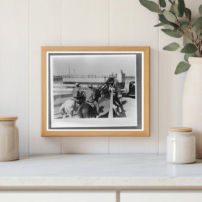 Cattle Loading for Shipment March 1942 Brawley California