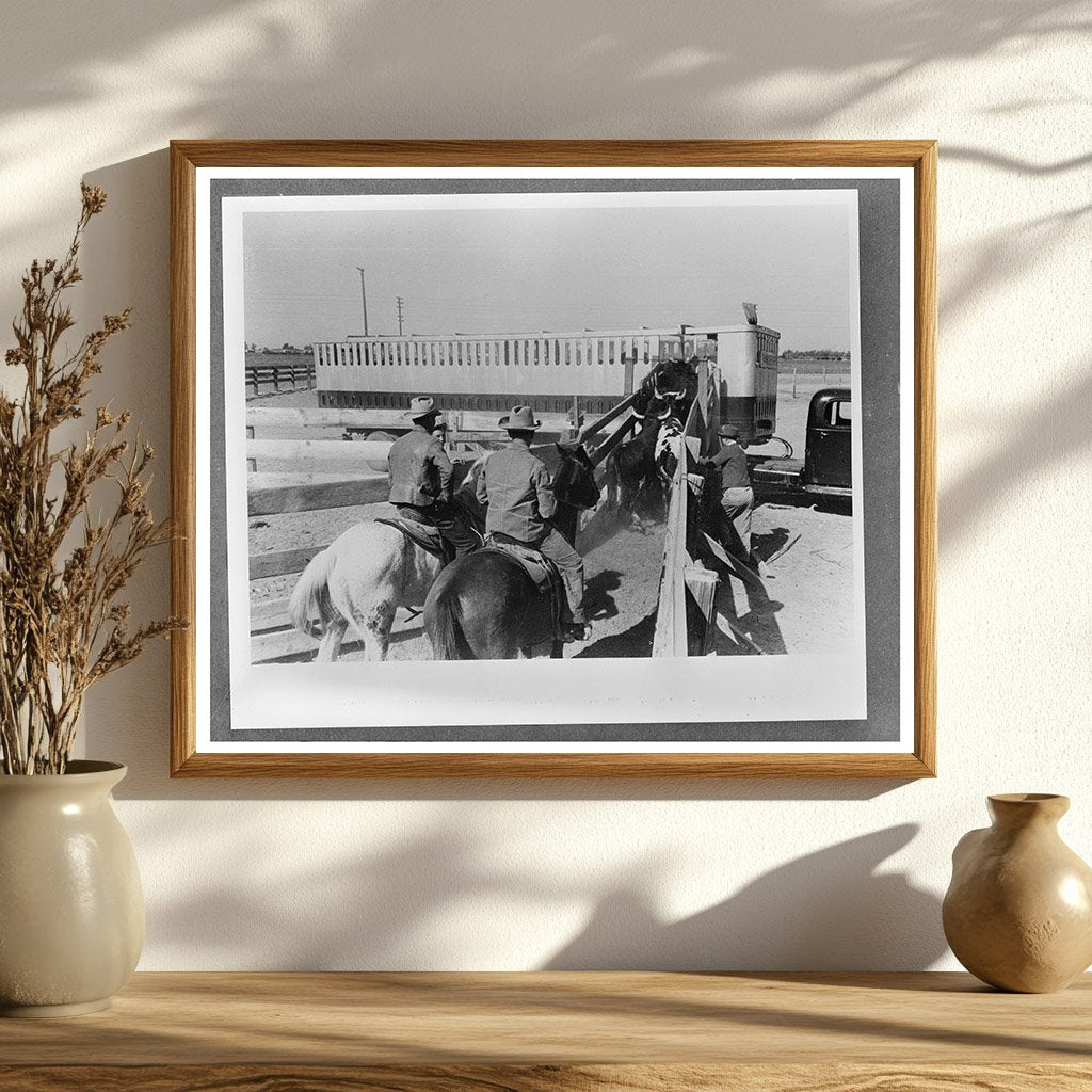 Cattle Loading for Shipment March 1942 Brawley California