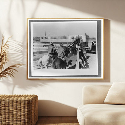 Cattle Loading for Shipment March 1942 Brawley California