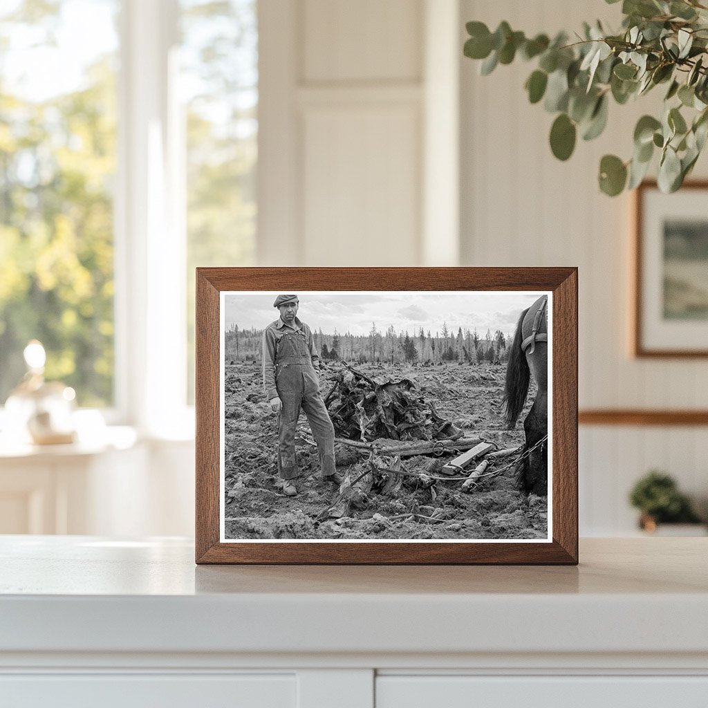 1939 Vintage Lumber Worker Clearing Field in Idaho