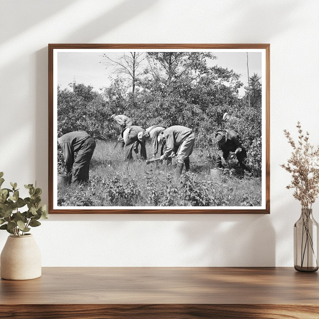 Tree Planting for Environmental Restoration in 1937 Wisconsin