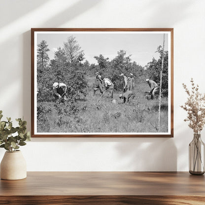 Tree Planting Initiative in Black River Falls 1937