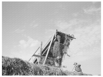 Vinery Scene in Dane County Wisconsin June 1937