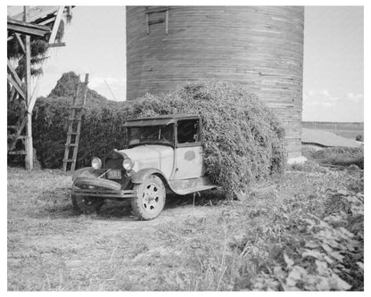 Vintage 1937 Photo Unloading Pea Vines in Wisconsin