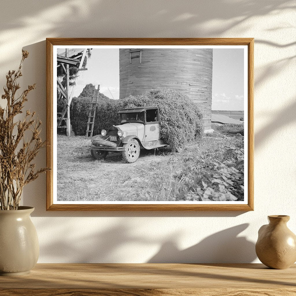 Vintage 1937 Photo Unloading Pea Vines in Wisconsin