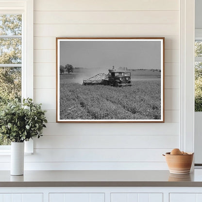 Vintage 1937 Agricultural Scene of Spraying Pea Vines