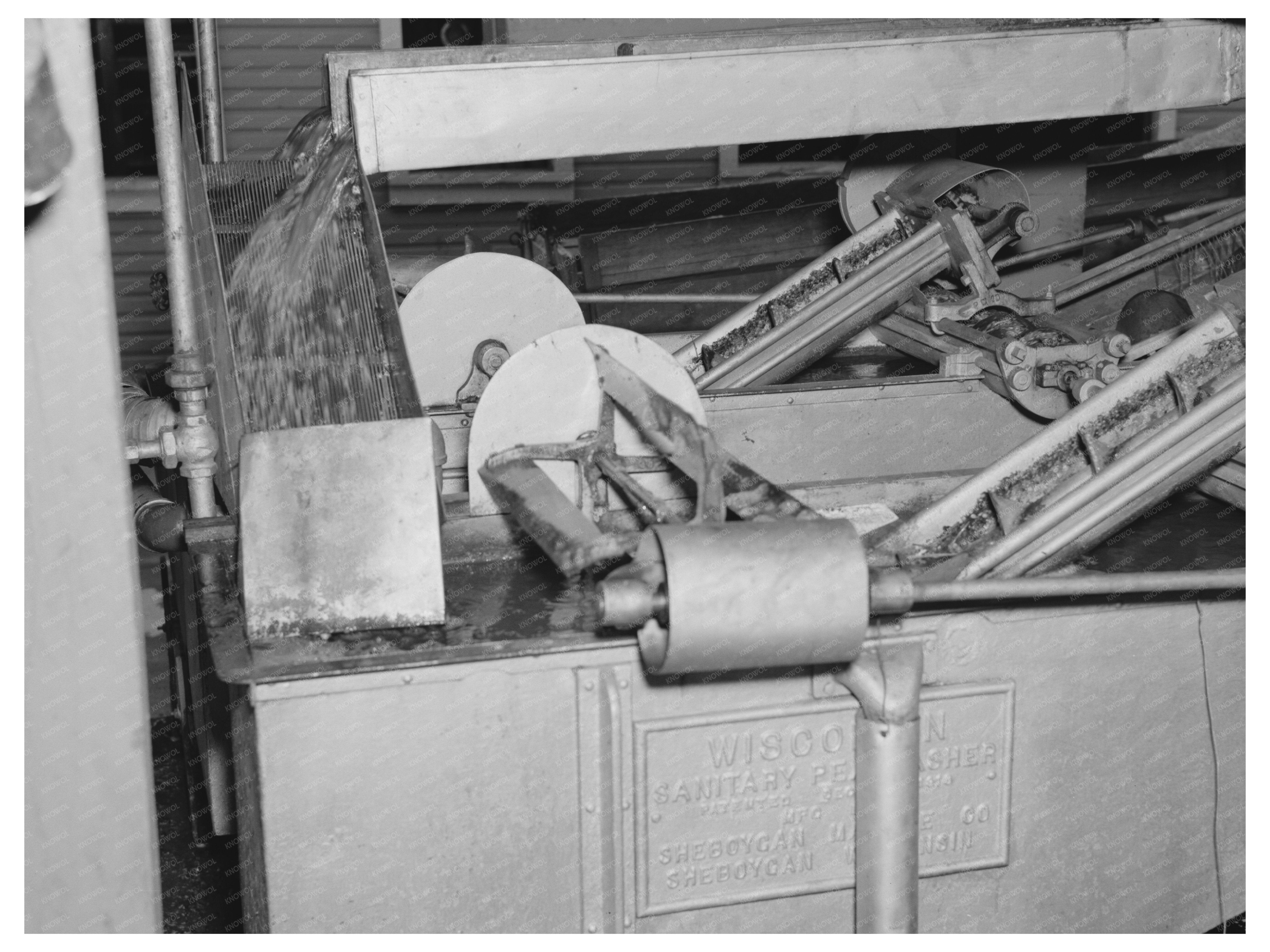 Peas Washing Machine in Canning Factory Sun Prairie 1937