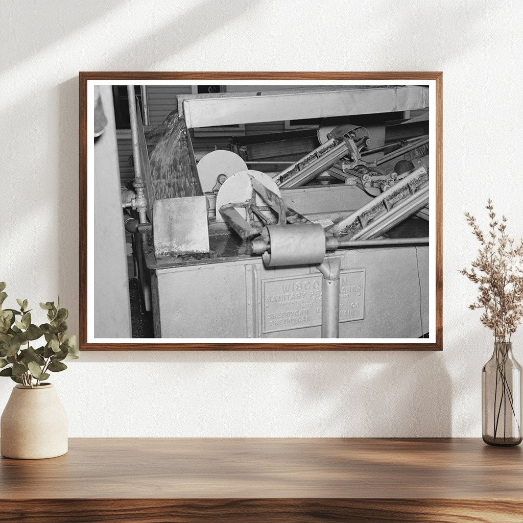 Peas Washing Machine in Canning Factory Sun Prairie 1937