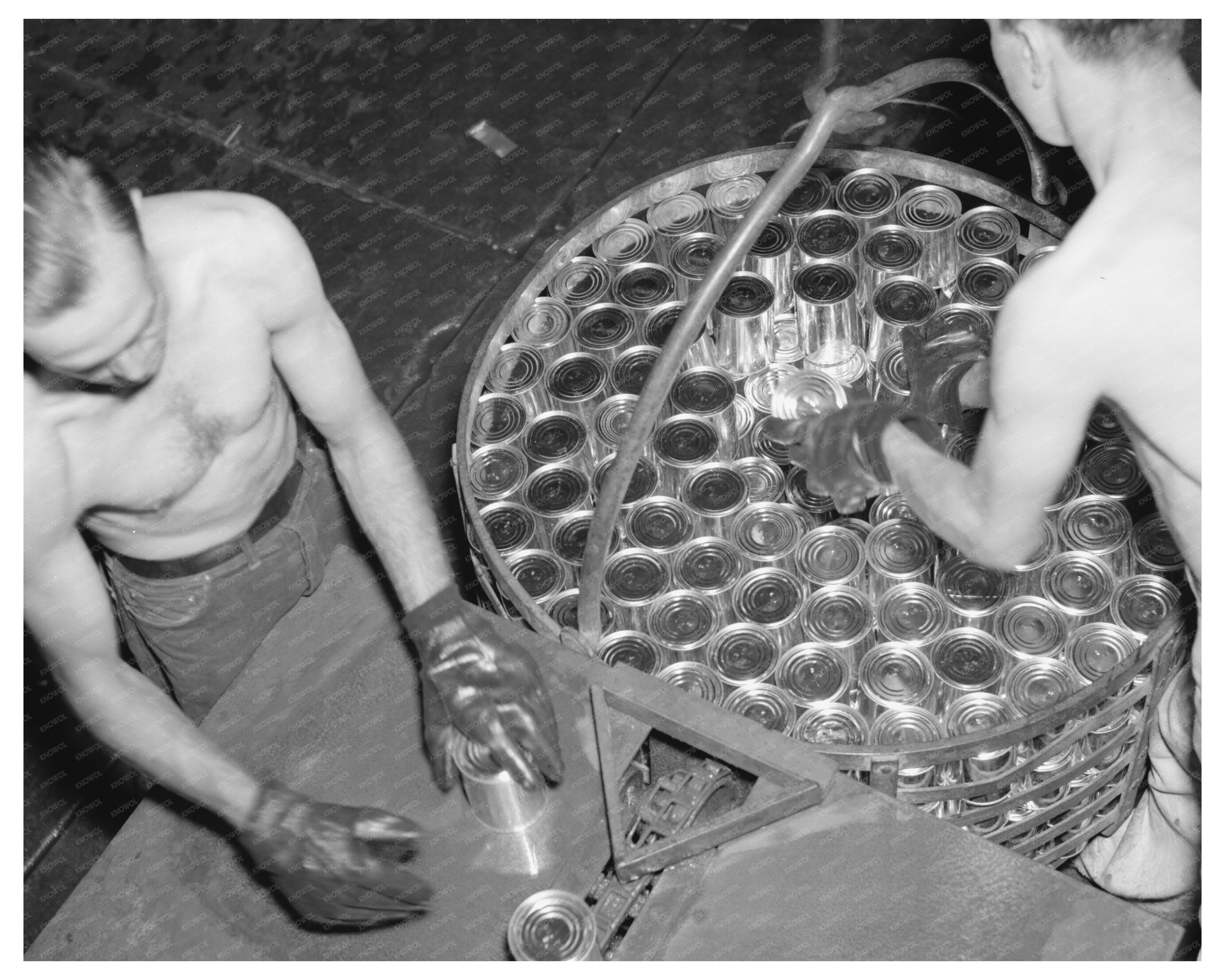 Canning Peas in Sun Prairie Wisconsin July 1937