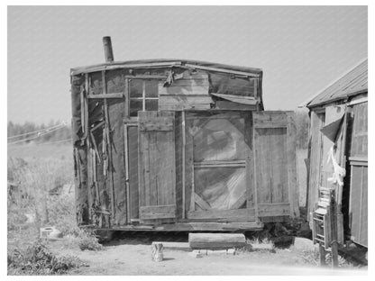 Tarpaper Dwelling in Abandoned Lumber Camp Minnesota 1937