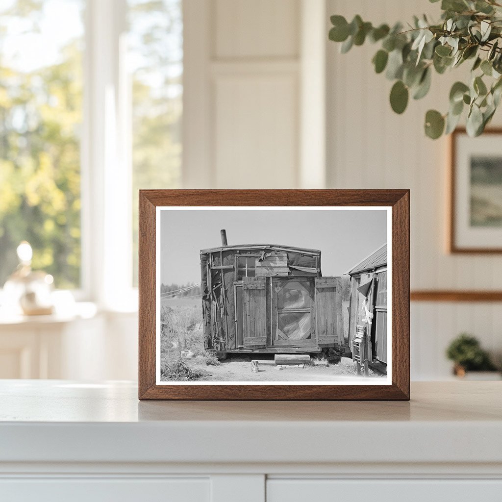 Tarpaper Dwelling in Abandoned Lumber Camp Minnesota 1937