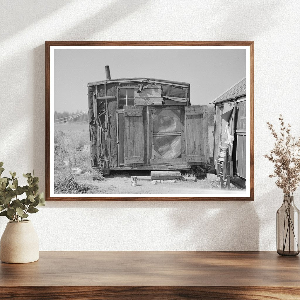 Tarpaper Dwelling in Abandoned Lumber Camp Minnesota 1937