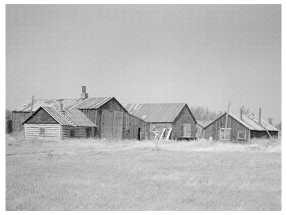 Abandoned Lumber Camp in Minnesota August 1937