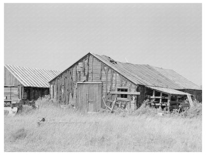 Abandoned Lumber Camp in Koochiching County Minnesota 1937