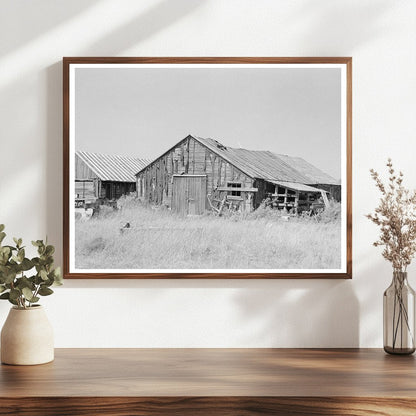 Abandoned Lumber Camp in Koochiching County Minnesota 1937