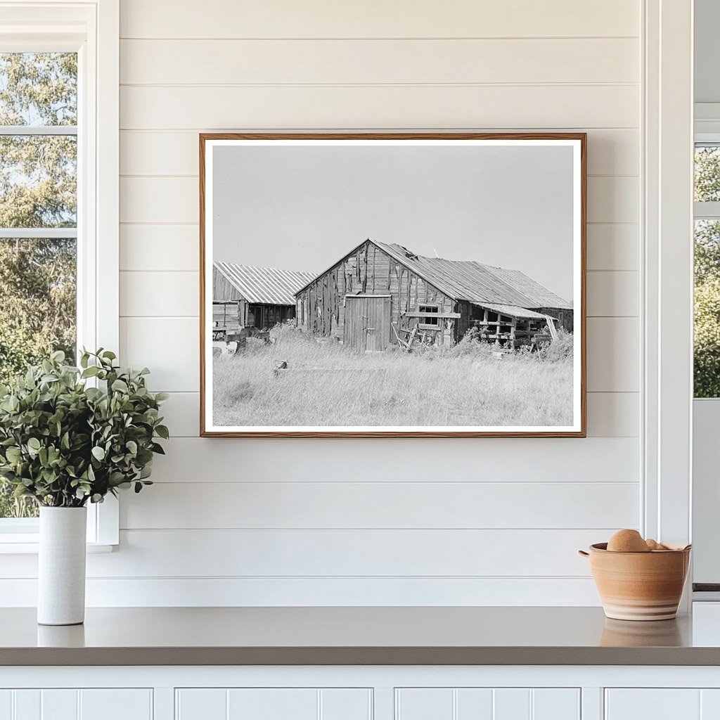 Abandoned Lumber Camp in Koochiching County Minnesota 1937