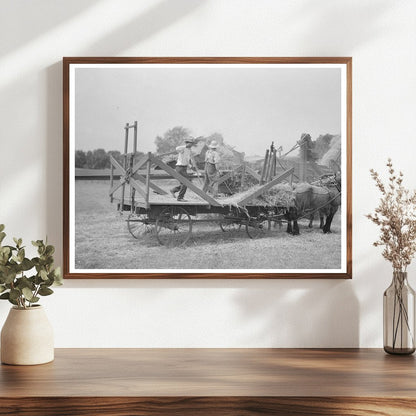 Threshing Oats in Kewanee Illinois August 1937