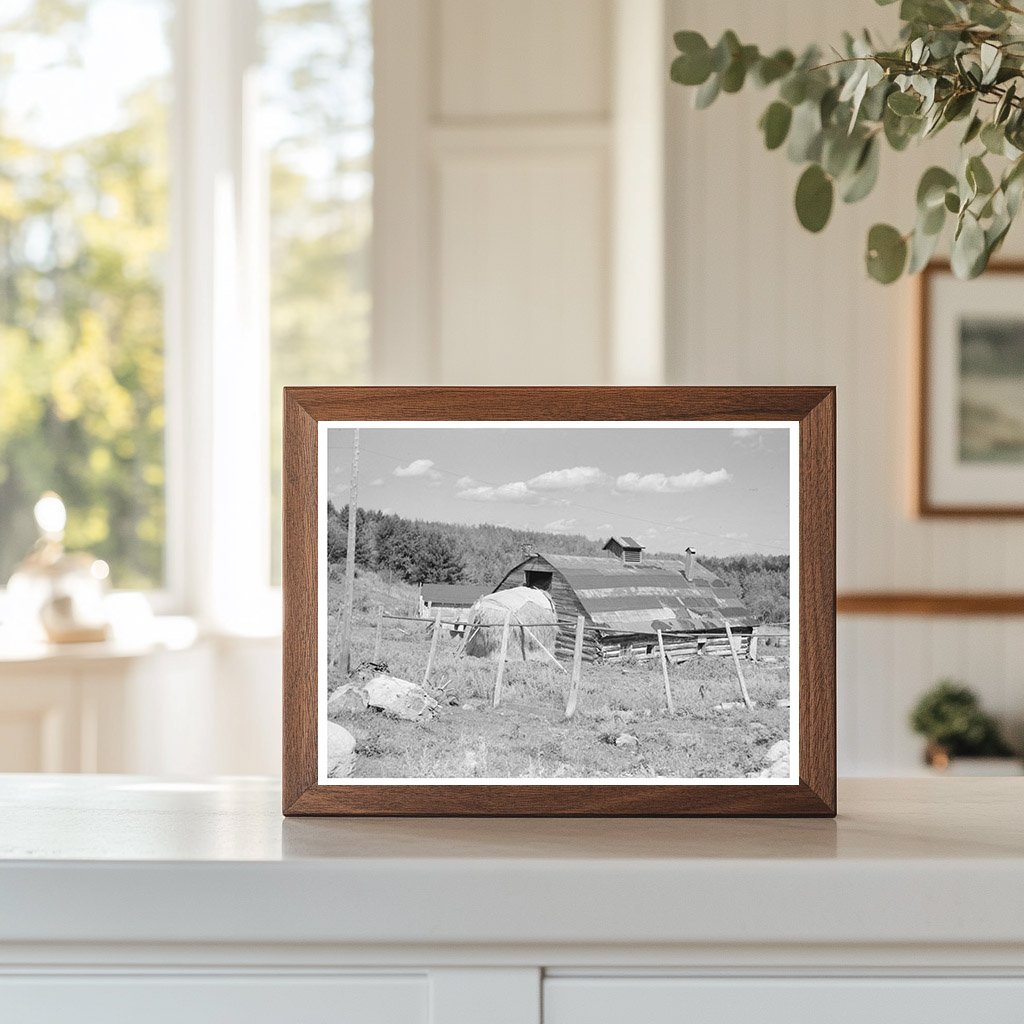 Vintage Barn and Straw Stack on Cut-Over Farm 1937