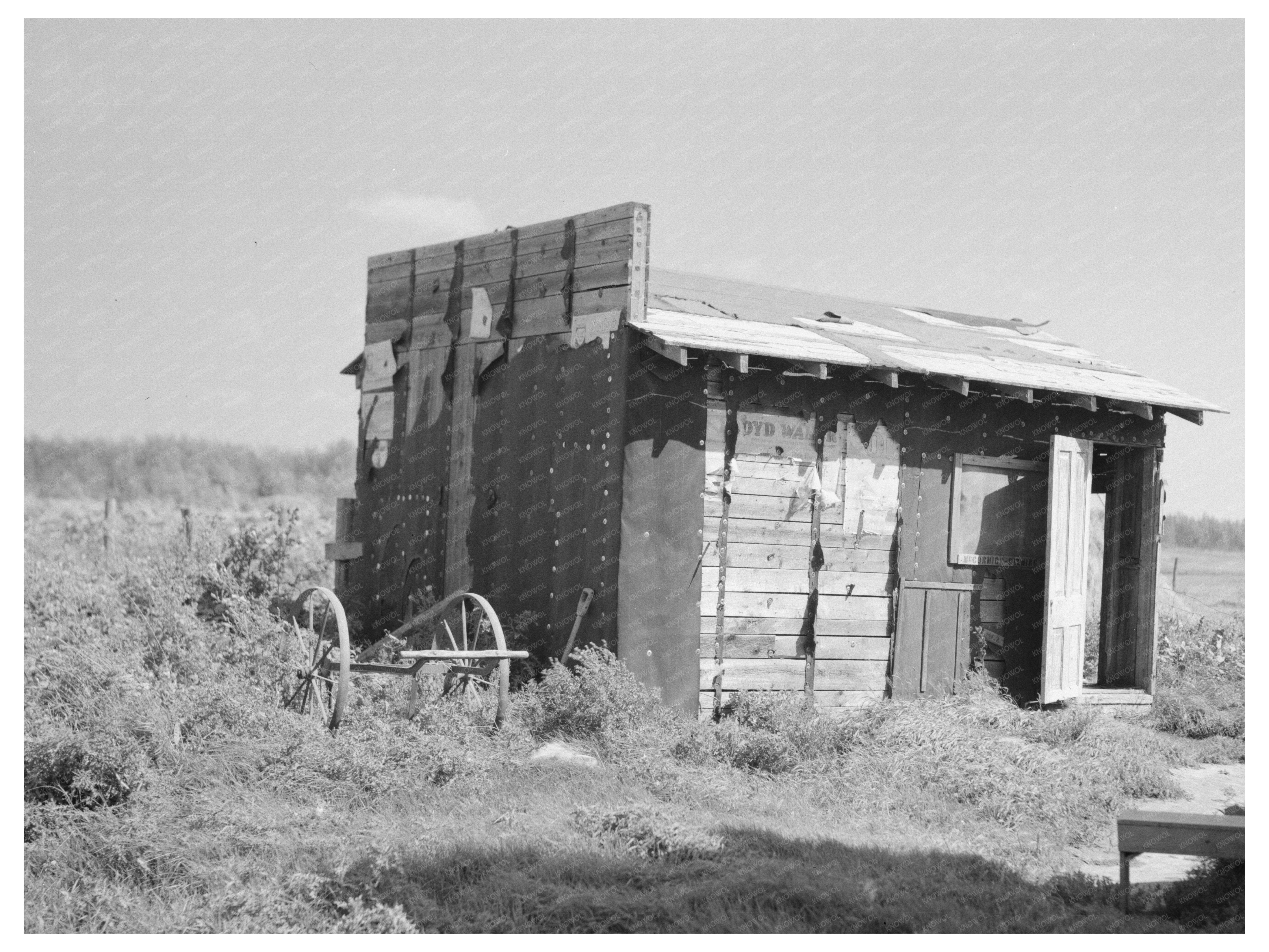 Tarpaper Shed in Gemmel Koochiching County Minnesota 1937