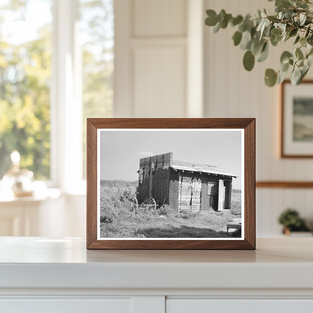 Tarpaper Shed in Gemmel Koochiching County Minnesota 1937