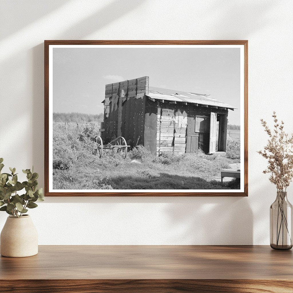 Tarpaper Shed in Gemmel Koochiching County Minnesota 1937